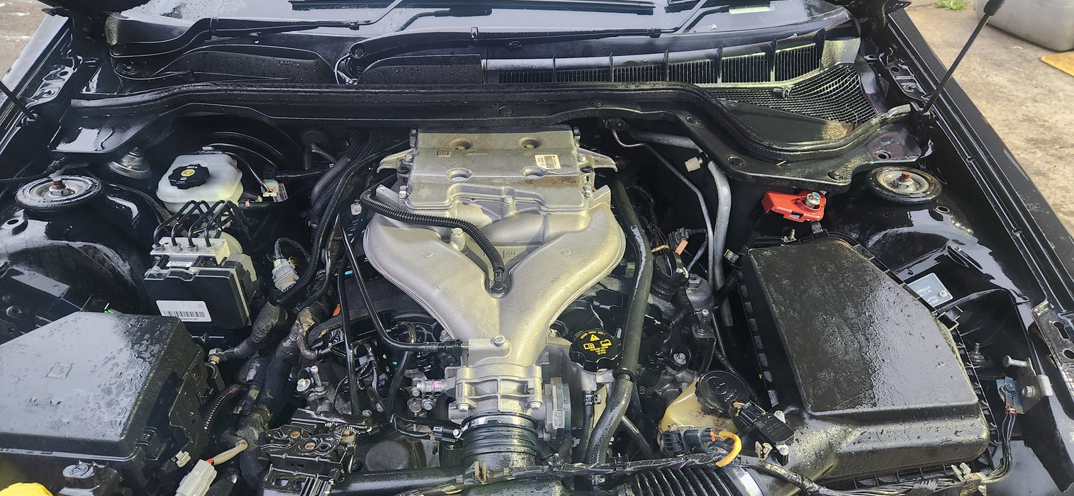 A229 - VE SV6 V6 LLT Manual - Engine Bay Harness