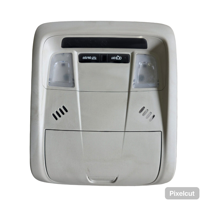 A107 - ZB HOLDEN COMMODORE - Interior Light Pocket