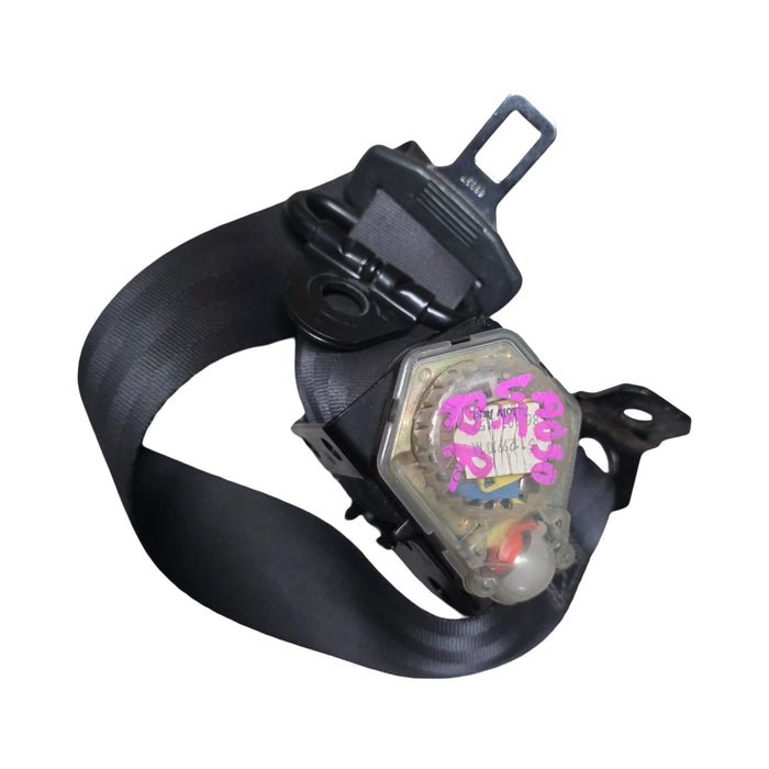 A050 - VT,VX,VY,VZ HOLDEN COMMDORE - Seatbelt Passenger Rear (black)