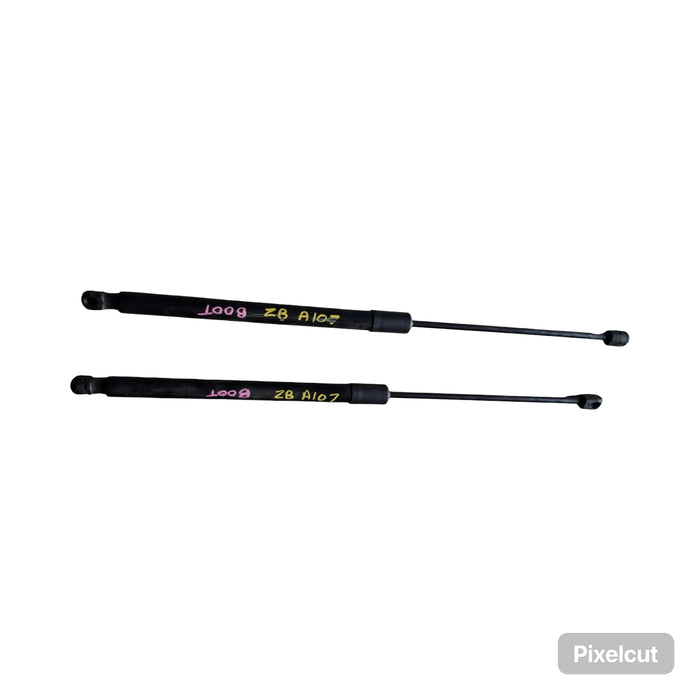 A107 - ZB HOLDEN COMMODORE - Hatch / Bootlid Struts