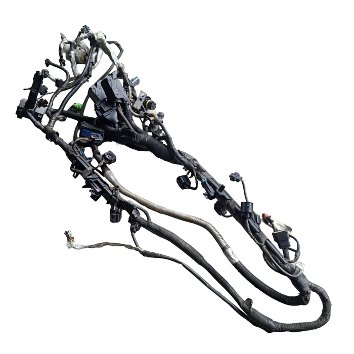 A242 - VE HOLDEN COMMODORE SEDAN - Engine Harness Auto V6