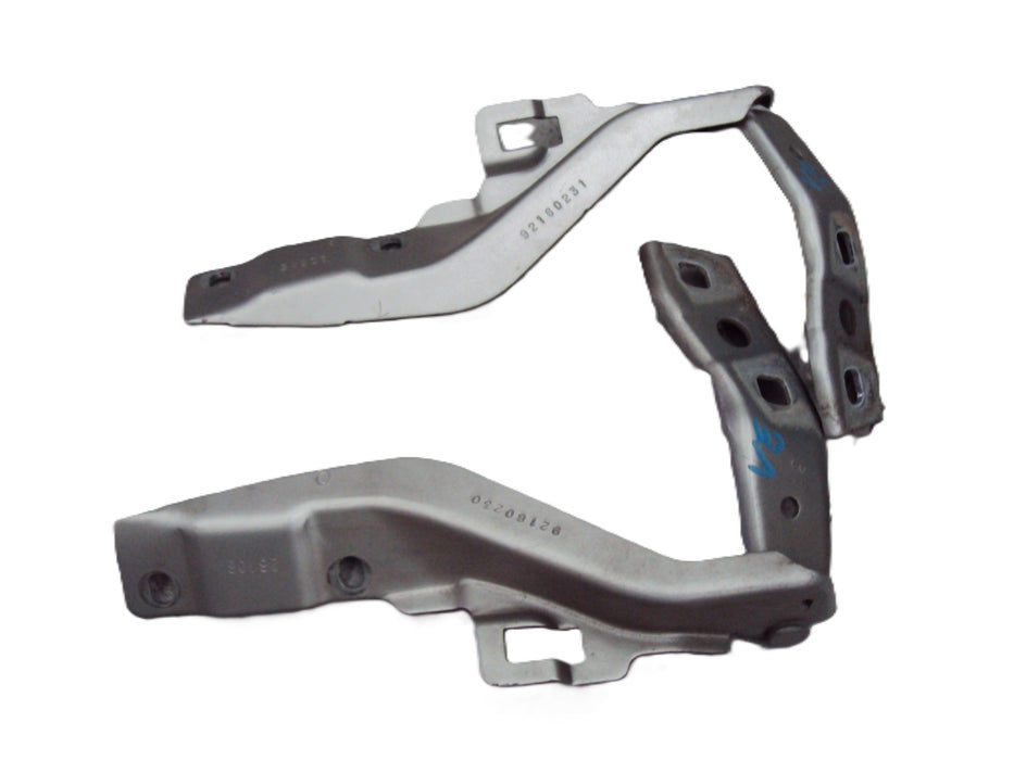 VE/WM - BONNET HINGE - Driver Side.