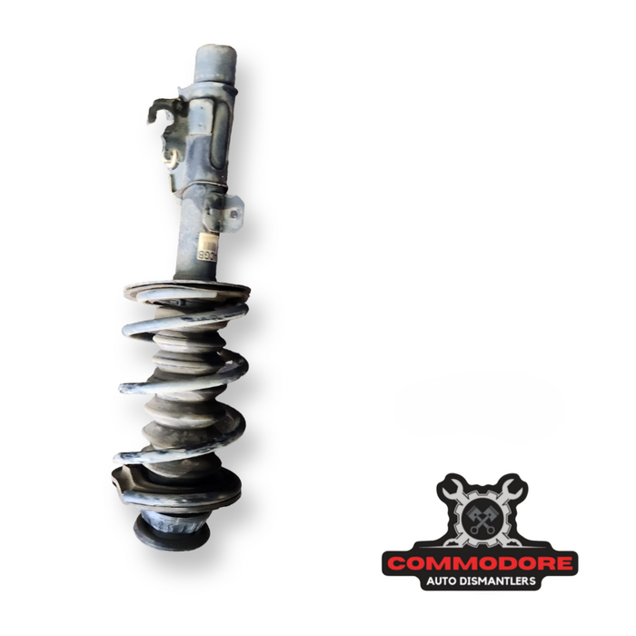 VF/WN - Rear Struts - Drivers (FE2)
