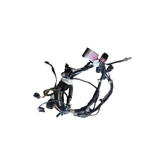 A213 - VE OMEGA SEDAN - V6 Radiator Support Harness