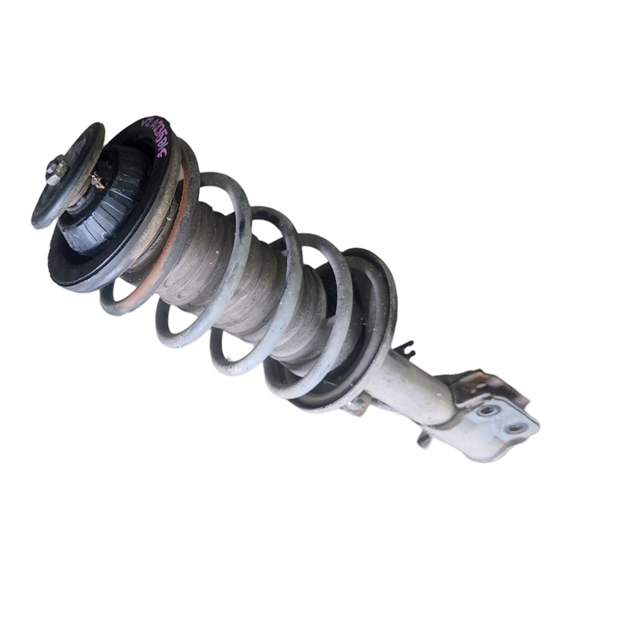 VZ/WL - Front Struts - Drivers (SL)