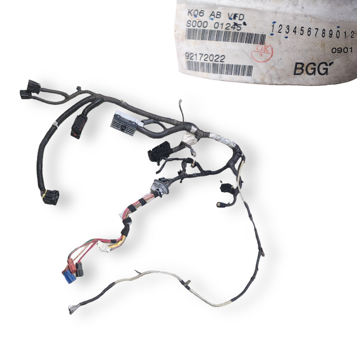 A158 - Ve SS Holden Commodore Sedan - Boot Harness