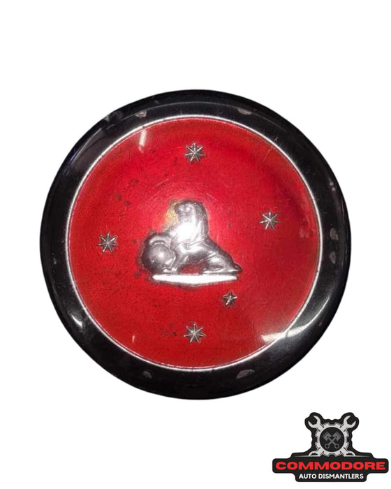 horn button.jpeg
