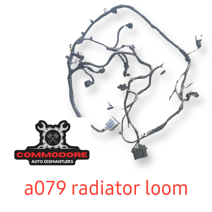 A079 - WM - Radiator Support Harness