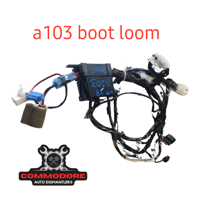 A103 - WM HOLDEN STATESMAN - Boot Harness