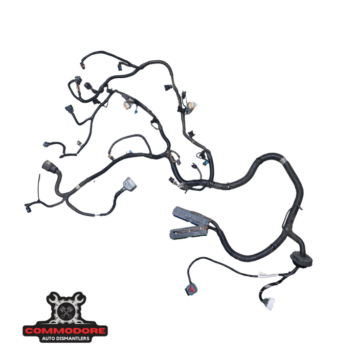 JOFB - VZ V8 LS1 AUTO ENGINE HARNESS