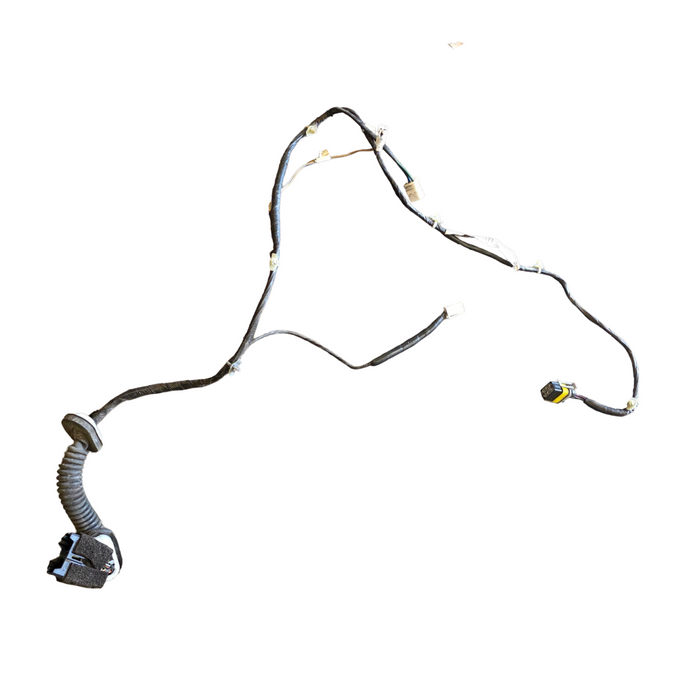 VT, VX Holden Commodore - Door Loom (Passenger Front)