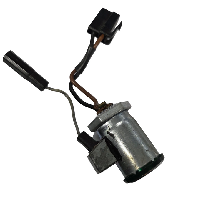 A089 - VS Holden Commodore - Light Socket