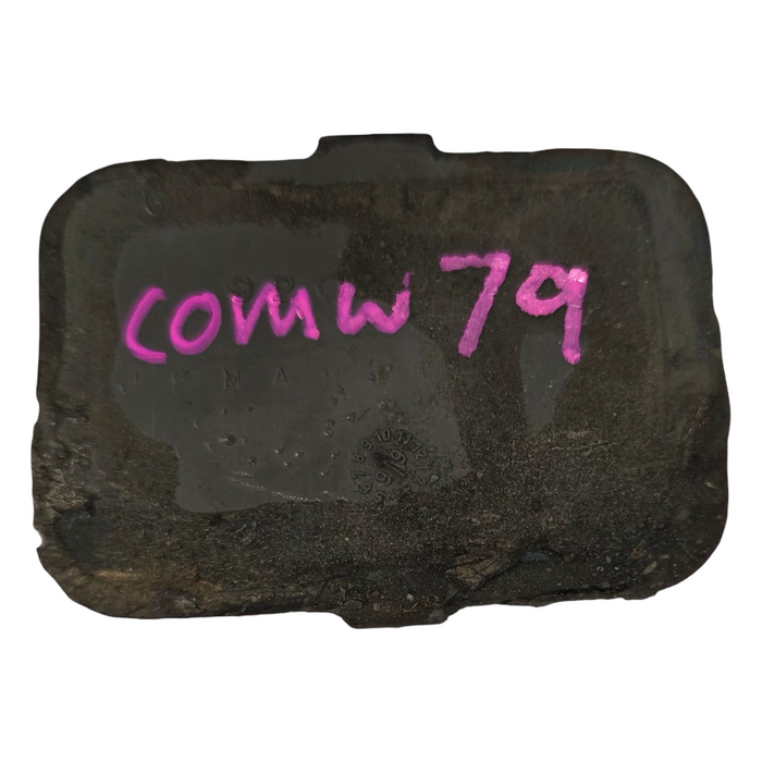 Comw79 - VS Holden Commodore - Bumperette Reflector