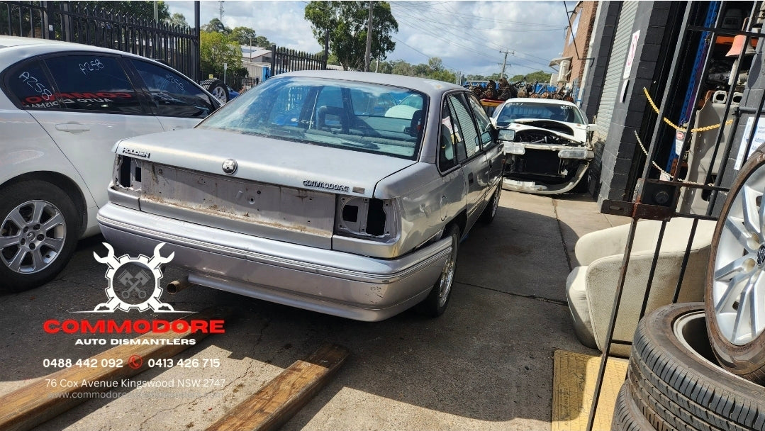 A262 - VP Holden Commodore Sedan - Mirror Switch