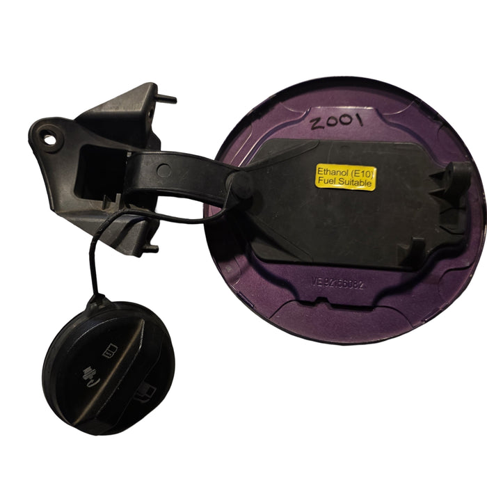 Z001 - VE HOLDEN COMMODORE SEDAN - FUEL FLAP Morpheous Purple Paint #4487