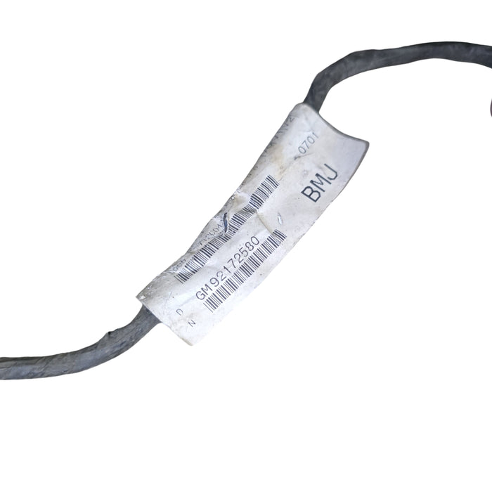 A052 - WM HOLDEN STATESMAN - Rear Bar Loom with Sensors