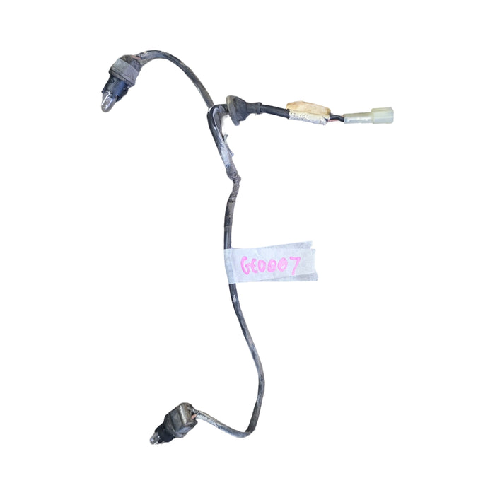 Geo007 - VS Holden Commodore Sedan - Number Plate Light Loom
