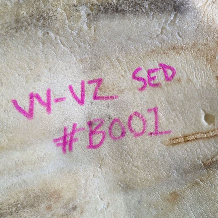 B001 - VY / VZ Holden Commodore Sedan - Interior Carpet