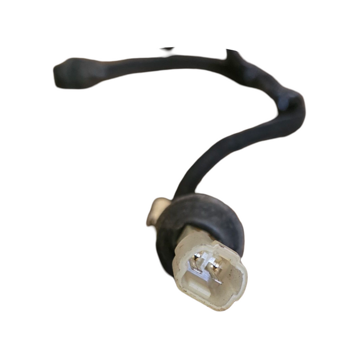 VP / VN Holden Commodore Sedan - Number Plate Light Loom