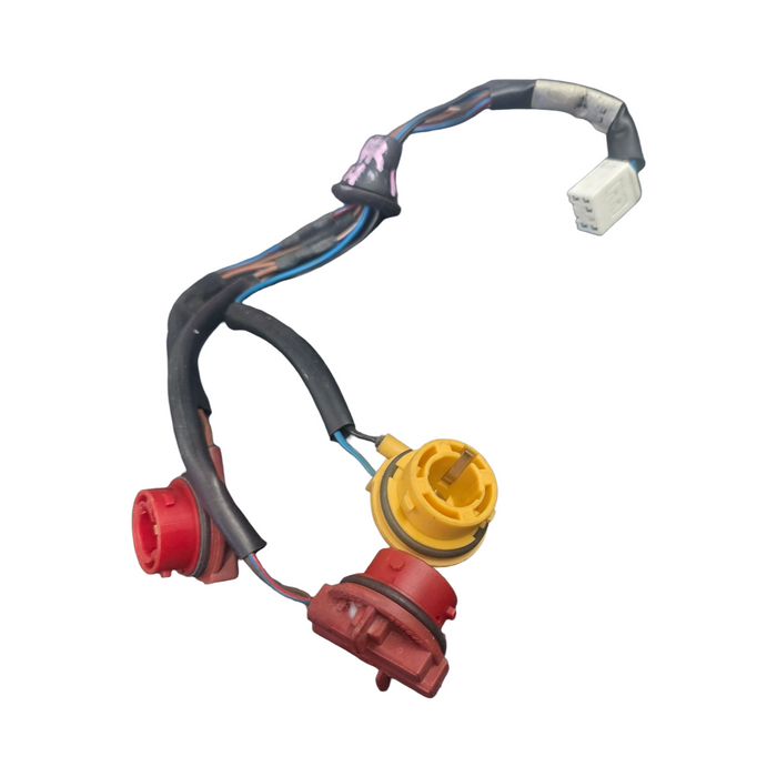 WH Holden Statesman - Taillight Loom - LH / RH Compatible