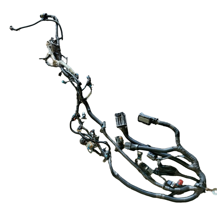 VE Holden Commodore V8 L77 - Engine Harness - Part #92237648