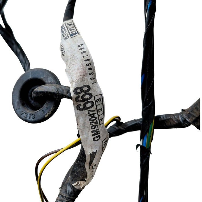 EX003 - VT Holden Calais - Door Wiring Loom Passenger's Rear S/N: 92047668