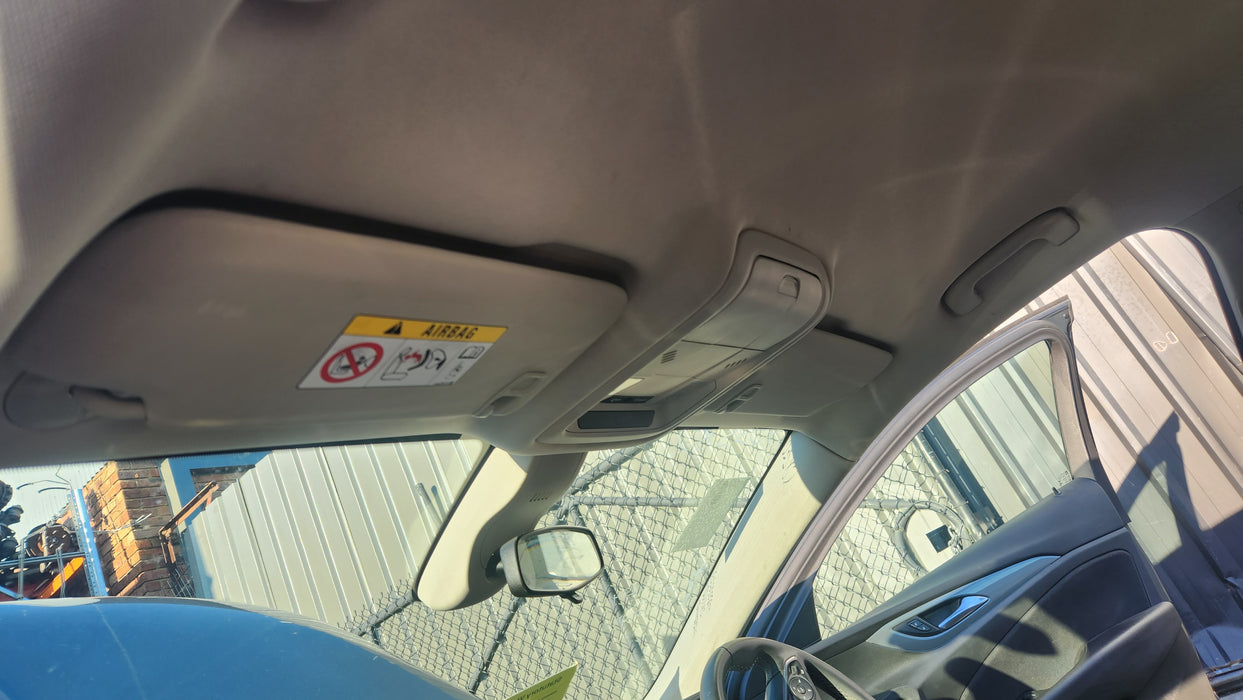 A107 - ZB HOLDEN COMMODORE - Interior Light Pocket