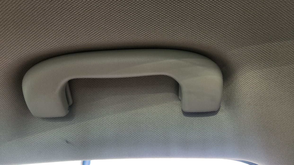 A107 - ZB HOLDEN COMMODORE - Grab Handles