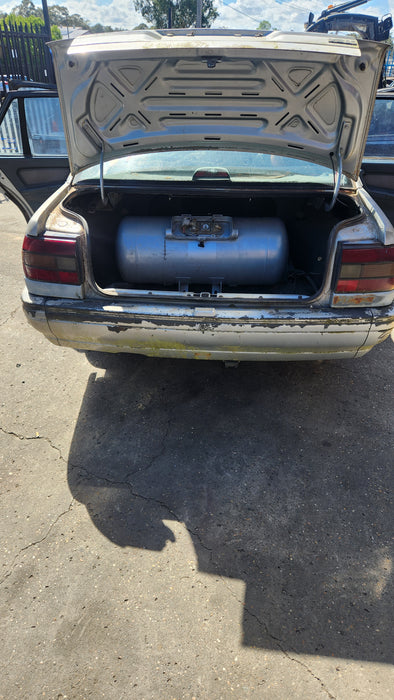 A169 - VN Holden Commodore Sedan - Bootlid - Petina ASTROID SILVER #2J013