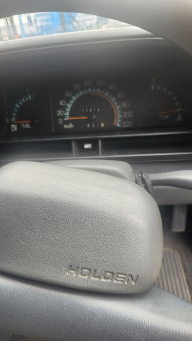 A174 - VN HOLDEN COMMODORE SEDAN - Cluster Surround
