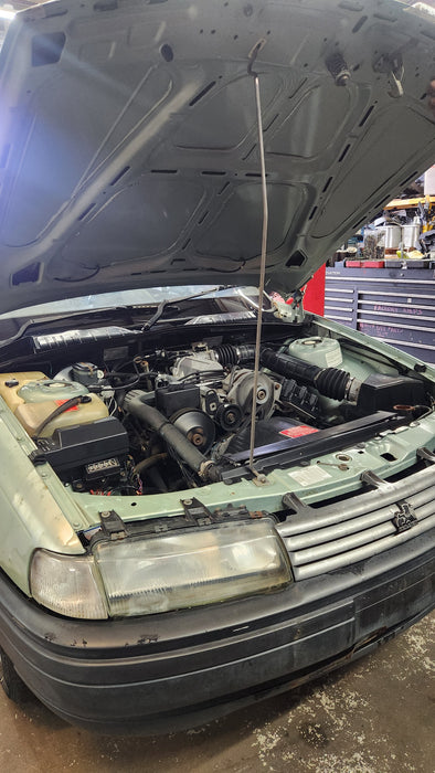 A174 - VN HOLDEN COMMODORE SEDAN - Transmission Harness