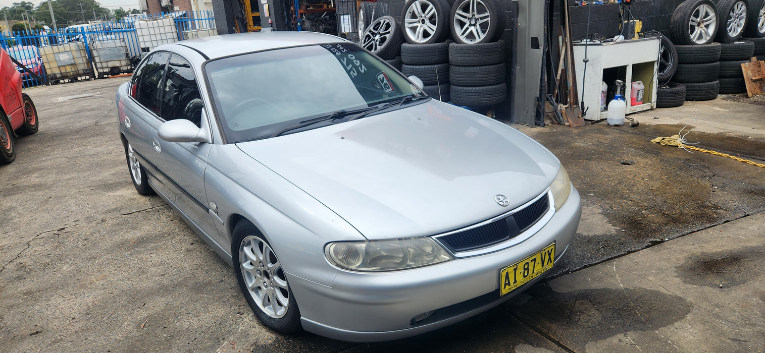A195 - VX Holden CALAIS - Sideskirts (pair) Quicksilver Metallic