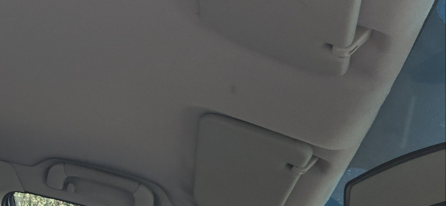 A238 - VX SII Holden Commodore SEDAN - Sunvisor Retainer Clips - BEIGE