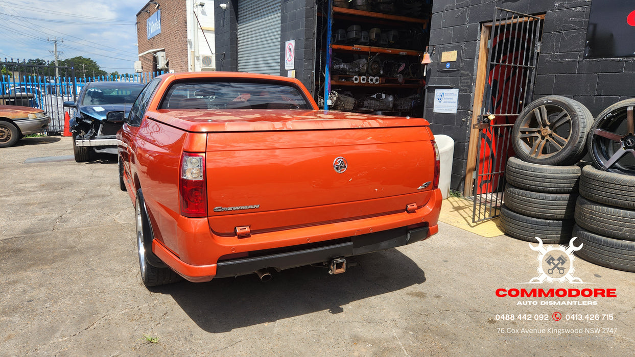 A253 - VZ Holden Crewman - Tailgate Limiting Cable Strap