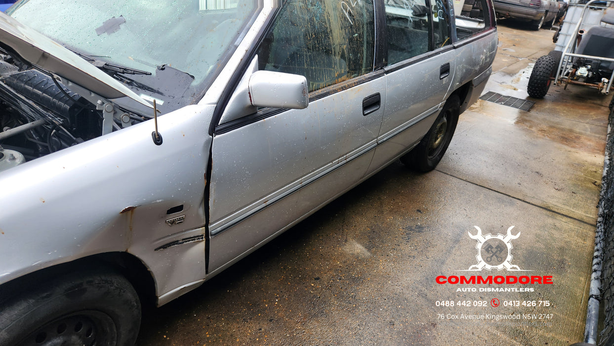 A256 - VS Holden Commodore Wagon - Rubber Door Moulds Set Grey and Black Stripe