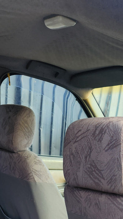A257 - VS Holden Commodore SEDAN - Interior Centre Light w/ Wiring