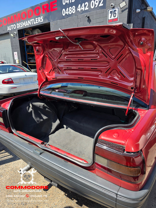 A290 - VN Holden Executive V6 LG2 Buick MD8, Auto 193,XXXkms Paint Code #2F028 PHONEIX RED METALLIC