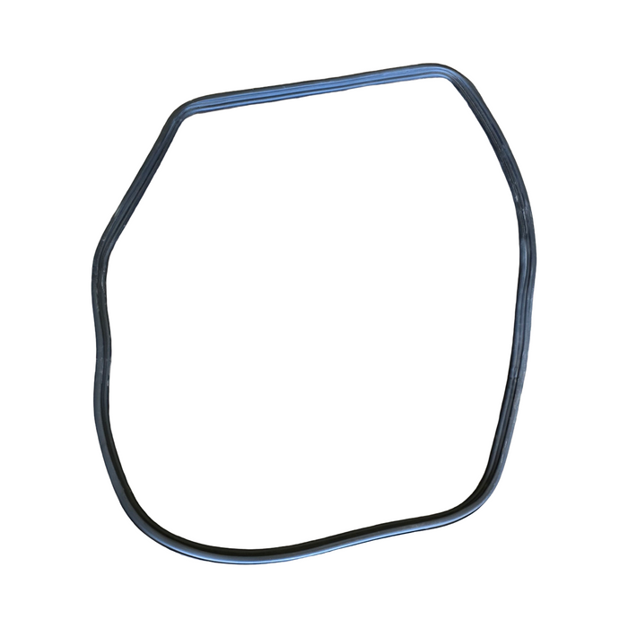 A253 - VZ Holden Crewman - Door Rubber - Drivers Rear