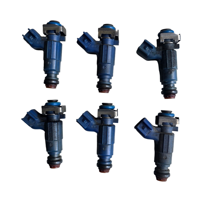 A253 - VZ Holden Crewman - Fuel Injectors V6 AUTO LEO
