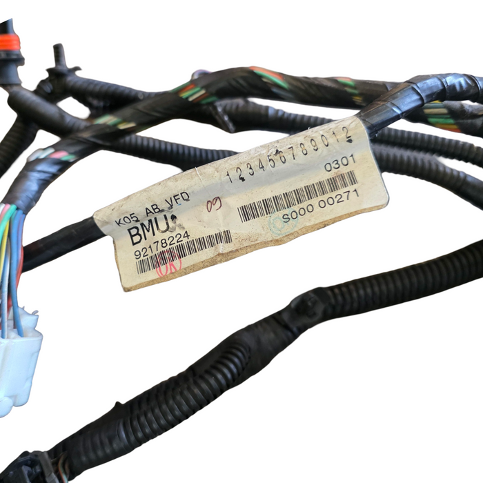 vz001 - VZ Holden Berlina Wagon (Sep 09) - LS1 Engine Harness