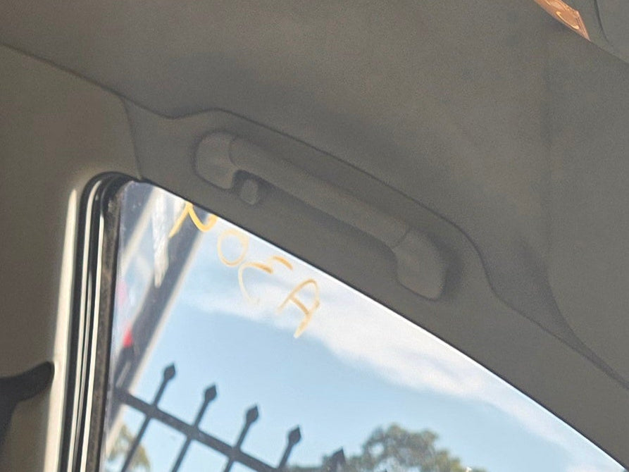 A304 - VZ Holden Commodore SEDAN - Interior Grab Handles - LIGHT GREY