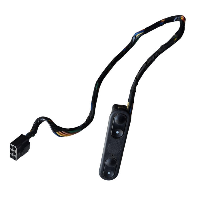 A314 - VS Holden Berlina - Passenger's Side Power Window Switch - Long Loom