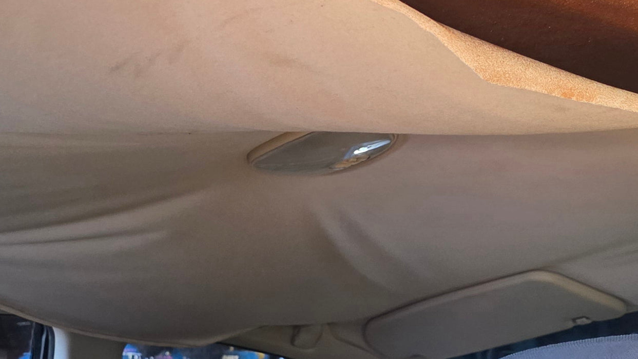 A315 - VT SERIES II Holden Commodore Sedan - Interior Centre Light