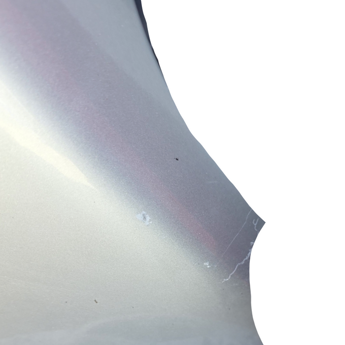 Da2017 - WM/WN Holden Statesman / Caprice- Passenger Front Guard with chrome trim - Nitrate Silver #636R