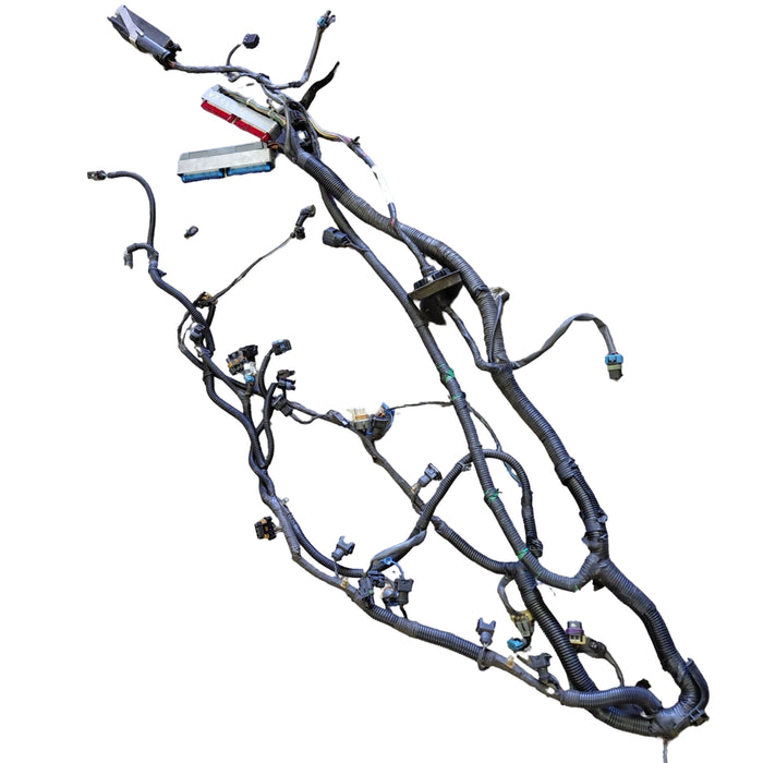 JM013 - VX SS Holden Commodore - Engine Harness V8 MANUAL LS1
