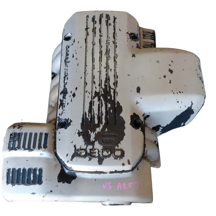 A257 - VS Holden Commodore SEDAN - Engine Cover V6 AUTO LG2