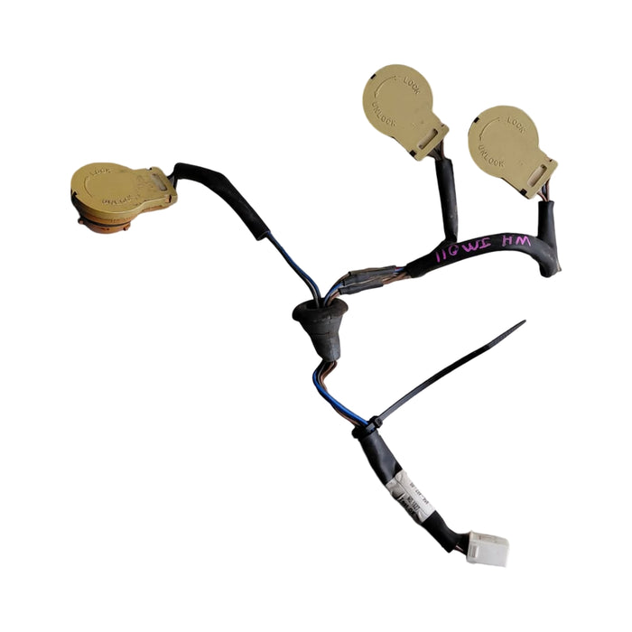 WH Holden Statesman - Taillight Loom - LH / RH Compatible