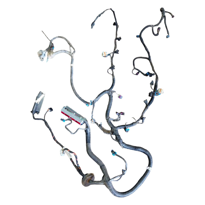 JM012 - WK Holden Statesman - V8 LS1 AUTO Engine Wiring Harness