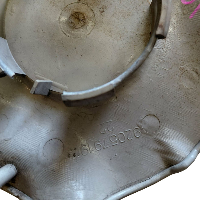 SW001 - VT Holden Commodore SERIES II SS/S-PAC - Centre Cap GENUINE