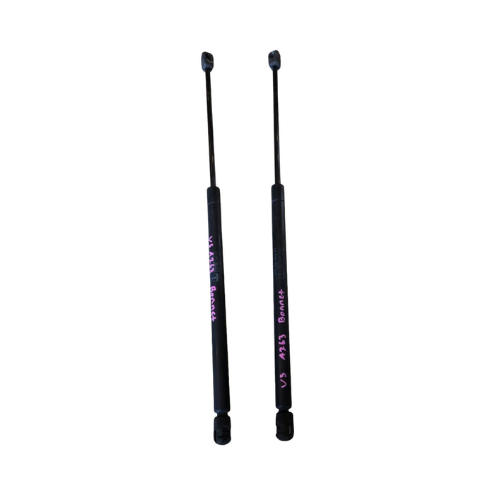 A263 - VS Holden Executive Wagon - Bonnet Struts - PAIR
